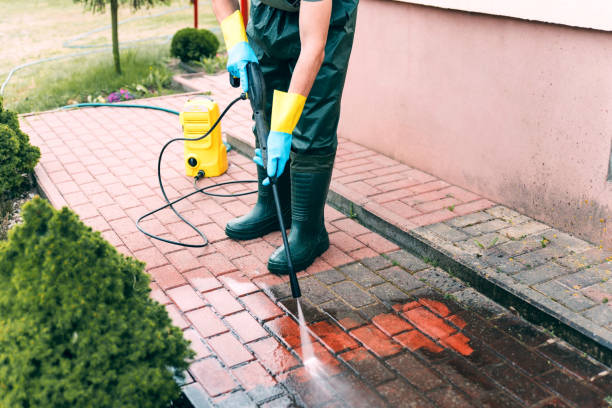 Best Roof Pressure Washing  in Quitman, MS