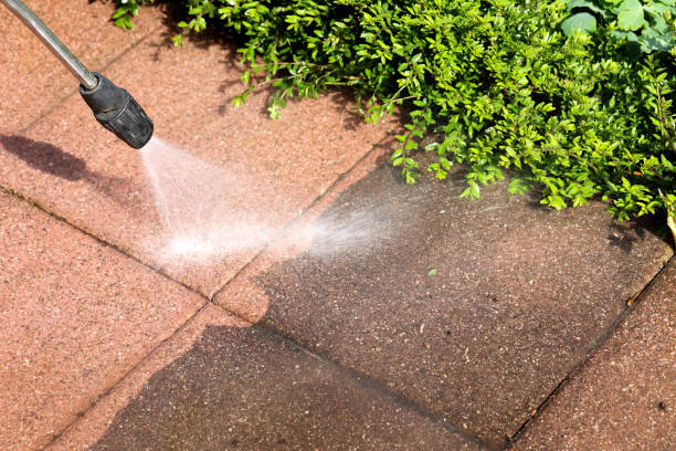 Best Pressure Washing Company Near Me  in Quitman, MS